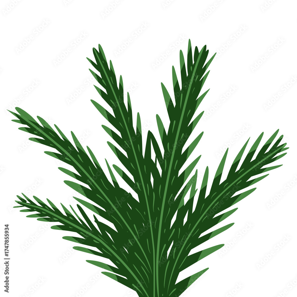 Obraz premium A detailed digital illustration of a tropical palm leaf with rich green tones. The artwork features stylized foliage with clean lines and soft shading, ideal for nature-themed designs, botanical print