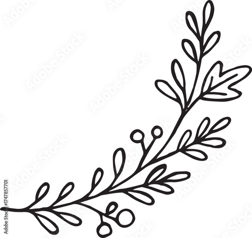Vector botanical illustration of mistletoe branch with green leaves and white berries. Traditional Christmas plant used for festive cards, winter decor, and natural design projects.