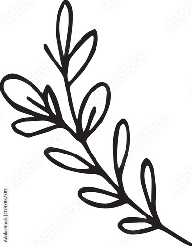 Vector botanical illustration of mistletoe branch with green leaves and white berries. Traditional Christmas plant used for festive cards, winter decor, and natural design projects.
