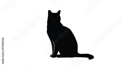 Silhouette of a sleek black cat sitting elegantly isolated on a capturing mysterious charm and grace silhouette