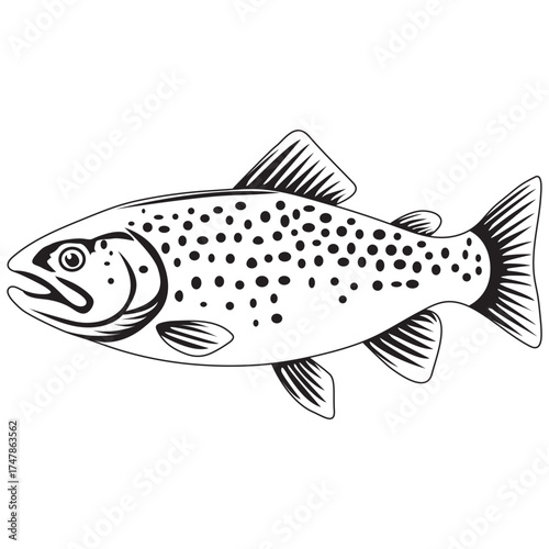 Trout Fish icon, Logo vector