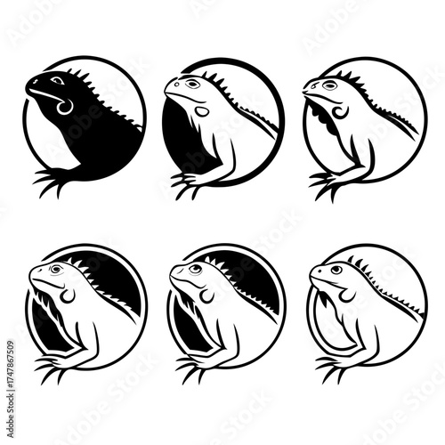 Six stylized iguana heads in a circle, vector illustration