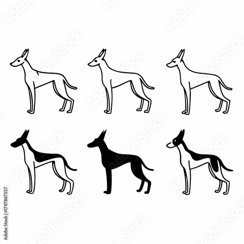 Six stylized podenco canario dogs standing in a group, vector illustration