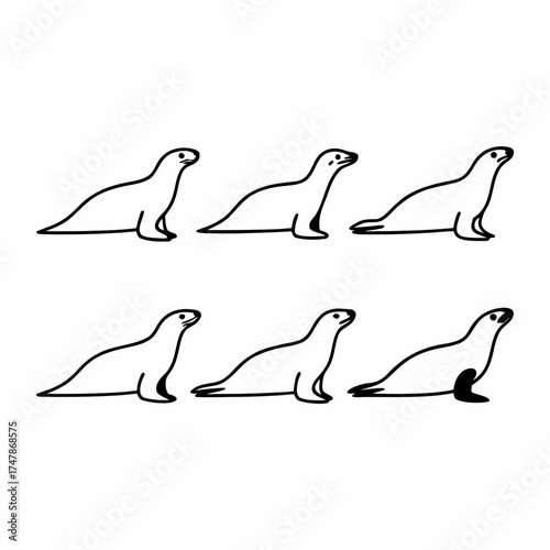 Six sea lions in a simple black and white line drawing style illustration