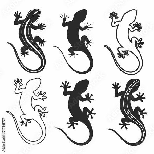 Collection of six gecko lizard silhouettes in different styles and shapes