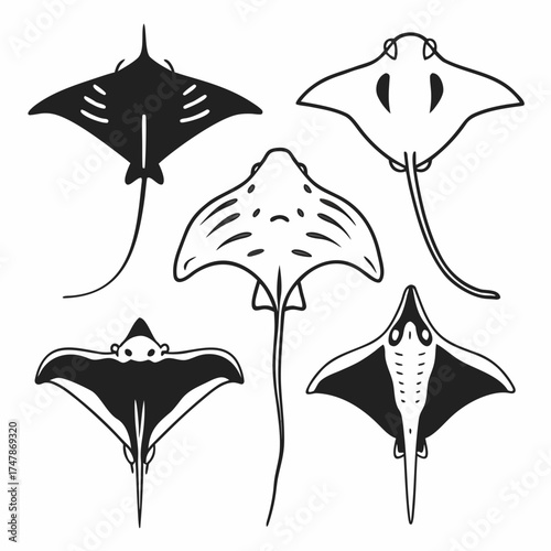 Collection of manta ray illustrations in various styles for creative projects