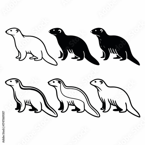 Collection of six ferret illustrations in different colors and styles, , showcasing animal variations
