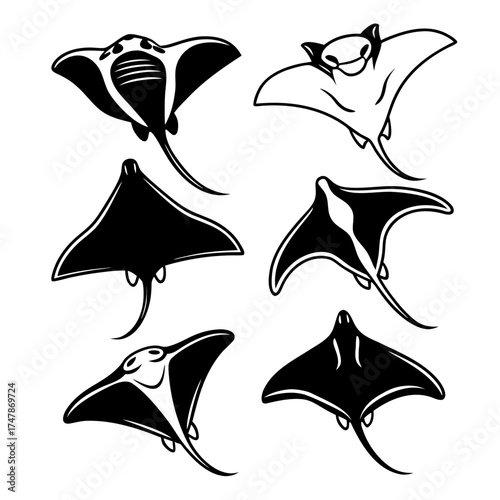 Collection of stingray silhouettes in various poses for logo or graphic design