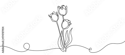 Flowers of Tulip Continuous One Line Drawing. Minimalist Floral Background. Outline Tulips Illustration. Nature Botanical Design for Greeting Card, Poster, Print, Banner. Vector Illustration
