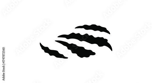 Fierce black claw marks scratches on a clean white surface symbolizing danger wildness and aggression silhouette