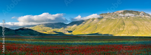 Panorama of Castelluccio of Norcia blooming. Monti Sibillini National Park, Perugia district, Umbria, Italy, Europe.