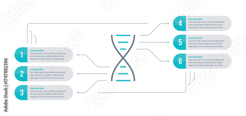 Infographic template for technology, science, business, education, industry, and business. Six steps informational template with DNA symbol. Infographic template for annual report, magazine, catalog
