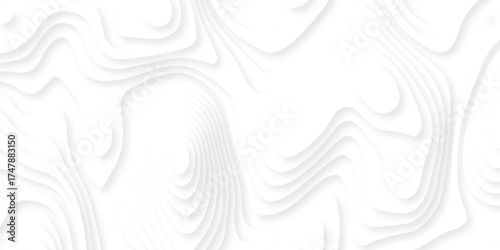 Abstract background vector Abstract wavy line 3d paper cut white background. Abstract pattern with lines. Abstract sea map geographic contour map and topographic contours map background.
