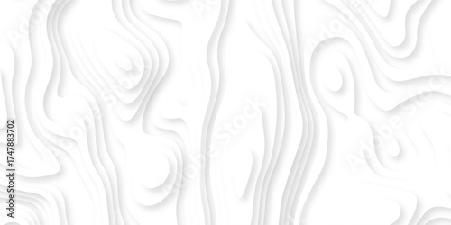 Abstract background vector Abstract wavy line 3d paper cut white background. Abstract pattern with lines. Abstract sea map geographic contour map and topographic contours map background.
