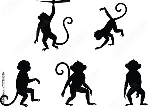 Monkey silhouettes collection, hanging, sitting, standing, crouching, handstand poses, wildlife illustration, animal posture, vector design, jungle theme, black silhouettes
