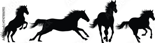 Black horse silhouette rearing, galloping, trotting, running, dynamic animal motion, wild equine energy, vector illustration, isolated design element, artwork
