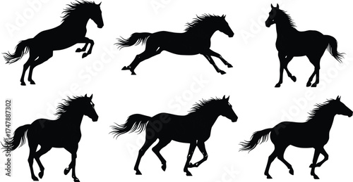 Horse silhouette collection, black stallion rearing, galloping, trotting, running, standing, equestrian motion, animal anatomy, wild spirit, vector illustration