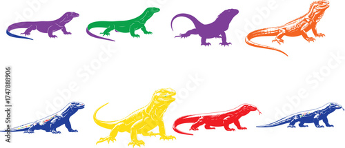 Colorful lizards on white background reptile komodo dragon