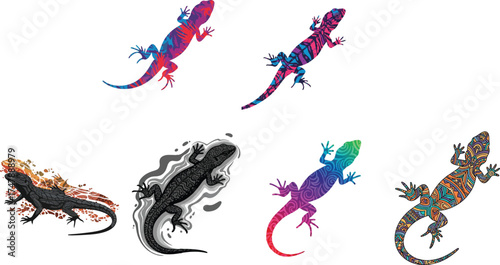 Colorful patterned lizards reptile animal