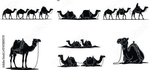 Camel silhouettes, desert caravan, nomadic lifestyle, Middle Eastern culture, African travel, wildlife journey, traditional transport, desert animals, resting camels, rope caravan