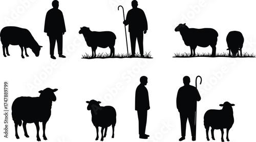 Silhouette shepherd with sheep grazing on grass, pastoral farming scene, livestock care, rural agriculture, countryside lifestyle, traditional shepherding illustration