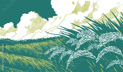 Hand drawn Japanese inspired rice field illustration showing ripe rice plants swaying under a cloudy sky. Minimalist line art in green, beige, and white tones.