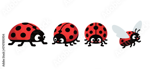 Cute cartoon set of a happy ladybug or ladybird in different poses: walking, standing, and flying, vector illustration for nature and spring design.