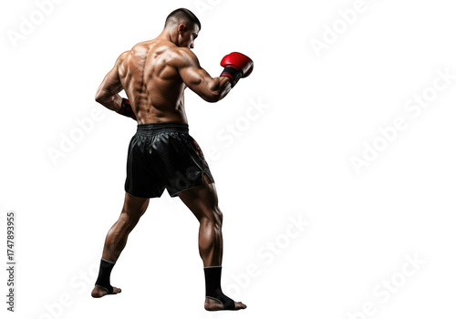 Muscular boxer in fighting stance isolated on transparent background