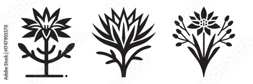 Nature Landscape Outdoor Desert Flower Icon, Flat Silhouette of an Outdoor Scenery Vector for Adventure Illustration Design