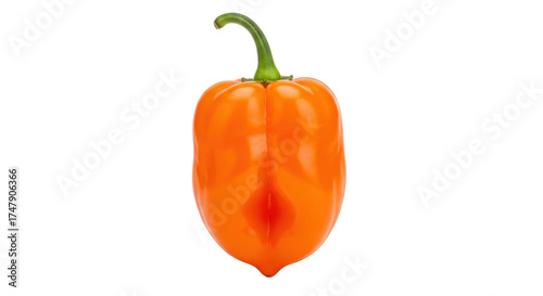 Photos Isolated orange habanero chili pepper with stem, fiery heat, culinary ingredient