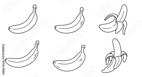 A simple black and white illustration of bananas in various stages