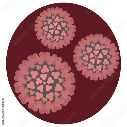 Three chikungunya viruses in a round red biological cage. Round pink and green togovirus transmitted by the bite of a female mosquito. Color vector illustration. Isolated on white background.