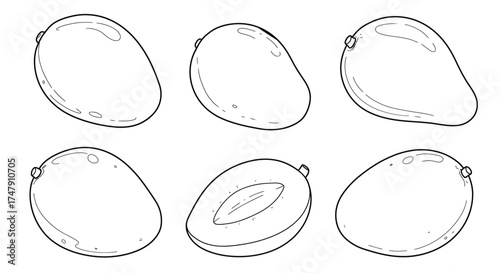 Simple line drawing of six mangoes in various orientations and forms