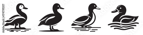 Modern Minimalist River Duck Icon, Flat Silhouette of a Water Bird Vector for Wildlife Illustration Design