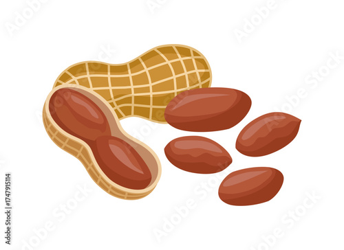 Peanuts with shell and kernels. Vector design for food packaging, recipe books, menus, or healthy eating concepts. 
