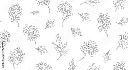 A delicate pattern of scattered botanical floral elements and leaves.