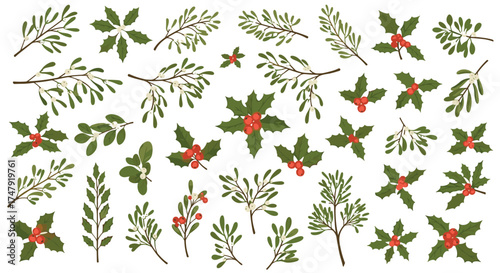 A collection of festive winter botanical elements for holiday decoration