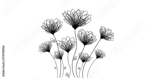 A collection of delicate wildflowers with intricate petal details.