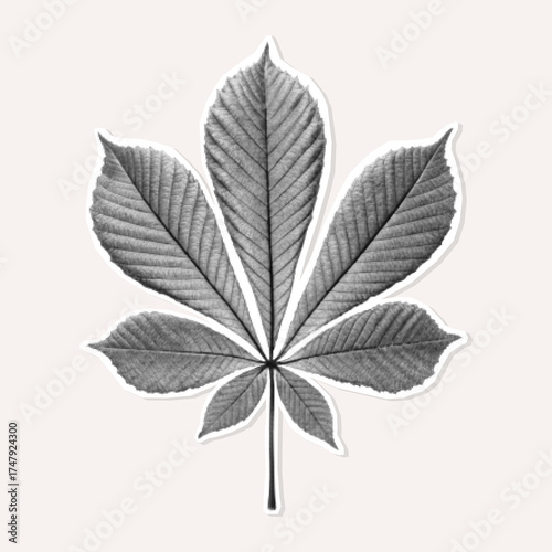 Halftone chestnut leaf sticker for botanical design, zine layouts, collages, and retro style mixed media projects.