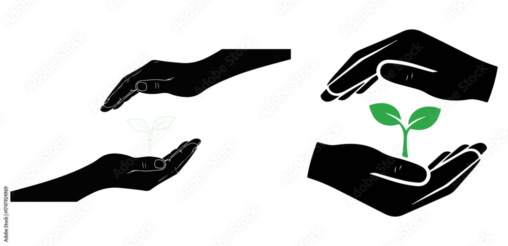 Obraz premium Hands plant growth care nature environment ecology protection conservation sustainability gardening life green earth on transparent background