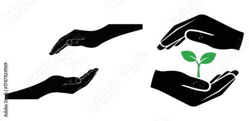 Hands plant growth care nature environment ecology protection conservation sustainability gardening life green earth on transparent background