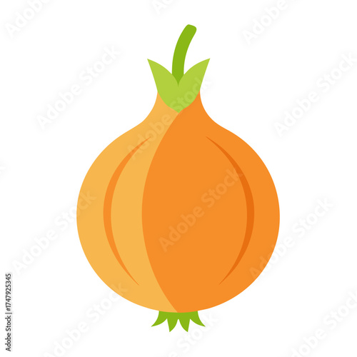 onion isolated on white