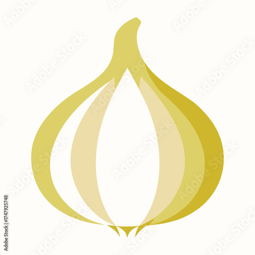 vector illustration of a fig