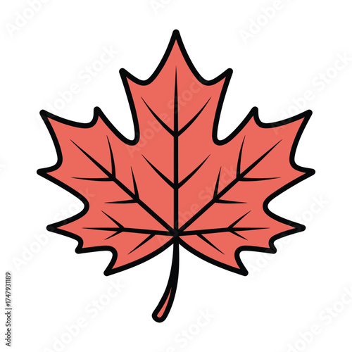 Illustration of a vibrant red maple leaf with detailed veins, , showcasing autumn