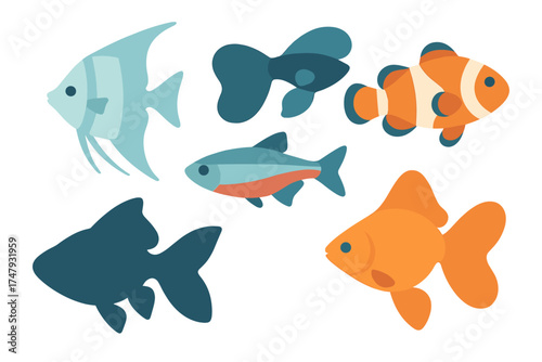 Colorful tropical aquarium fish species collection including angelfish and clownfish
