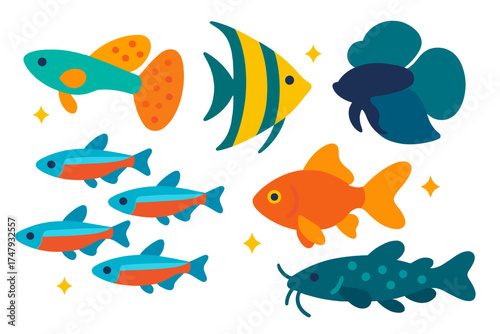 Colorful set of diverse tropical and freshwater aquarium fish species including guppy angelfish and goldfish
