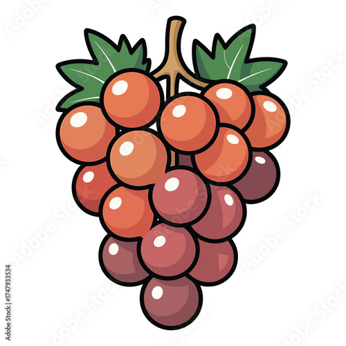 Illustration of a bunch of grapes with leaves, , a sweet and juicy fruit