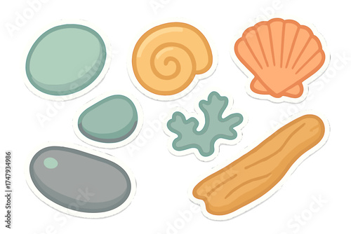 Colorful beach and sea elements including seashells, smooth pebbles, driftwood, and seaweed