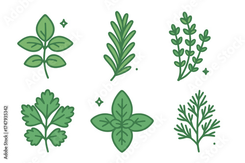 Collection of six fresh culinary herbs including basil rosemary and thyme