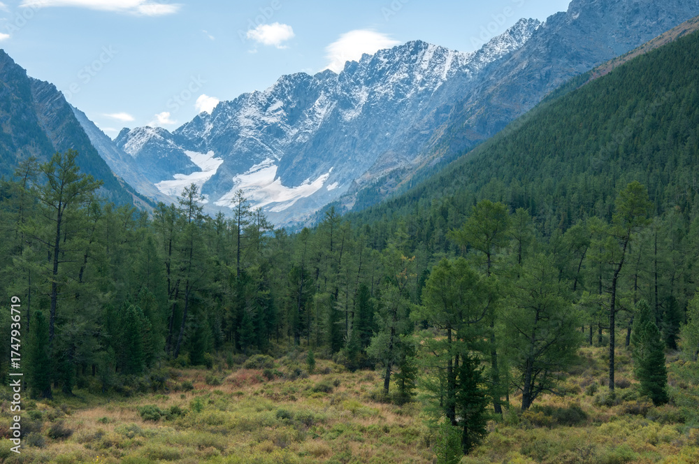 Fototapeta premium Part of Kuyguk valley located in the Altai Republic with green forests and snow-covered mountain peaks, Russia